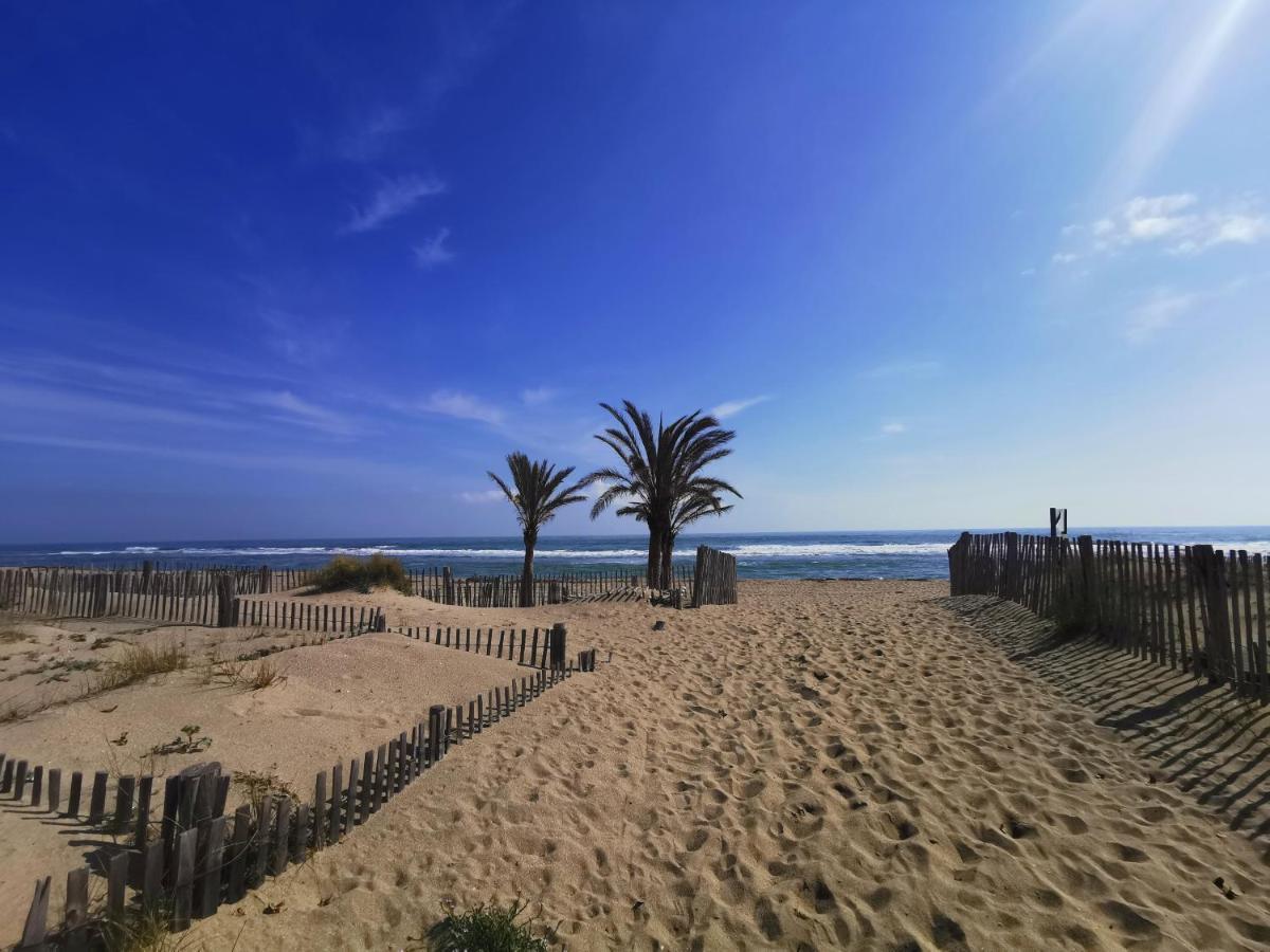 Soleil Levant 2 - En Bord De Mer - Superbe Appartement Cosy - Acces Direct Plage - Proche Commerces Et Animations Le Barcarès Εξωτερικό φωτογραφία
